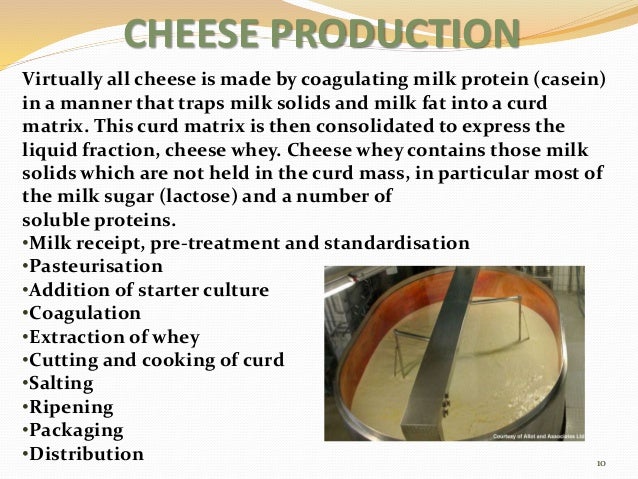 dairy industry cheese manufacturing process flow chart