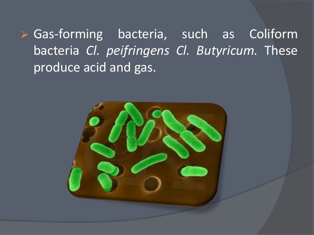 Study of in Milk(Dairy microbiology)