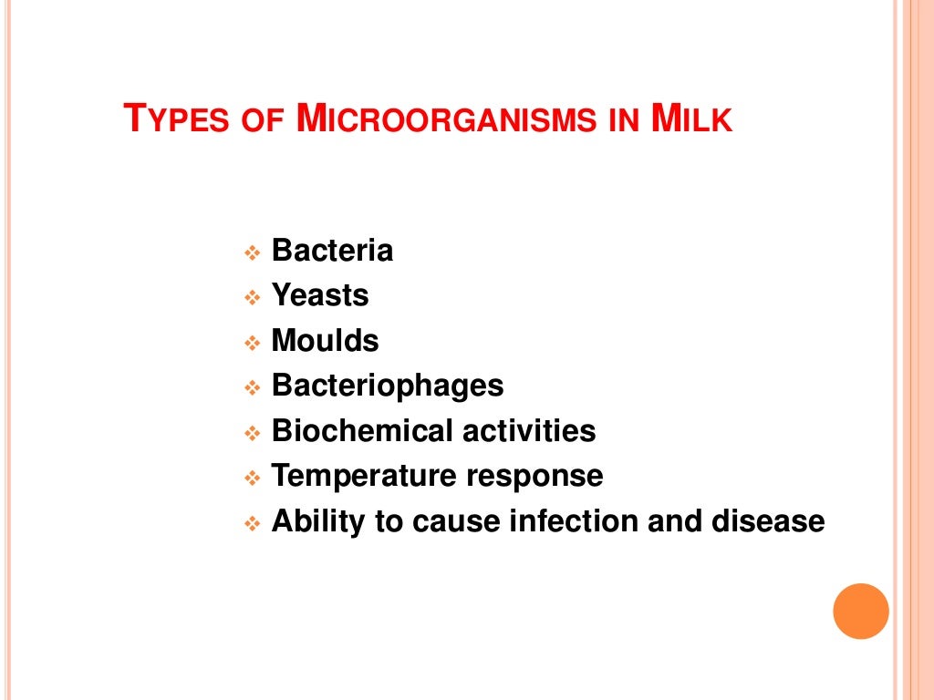 Dairy microbiology