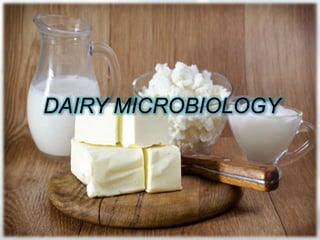DAIRY MICROBIOLOGY 
 