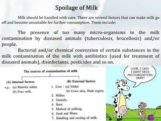 Questionable Milk Dairy microbiology and Dairy Products | PPTX