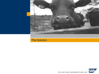 Challenges, Strategies, and Benefits The Solution  