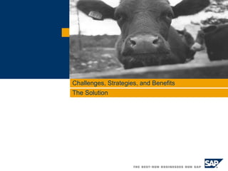 Challenges, Strategies, and Benefits The Solution  