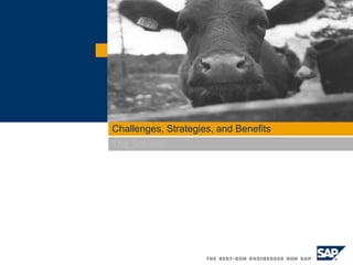 Challenges, Strategies, and Benefits The Solution  