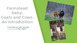 Farmstead
Dairy:
Goats and Cows,
An Introduction
Presentation by Tinia Creamer
Lucas Farm in West Virginia
 