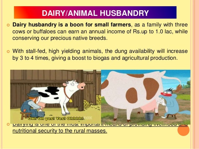 Doubling Of Farmer S Income Through The Dairy Sector Doubling Of Farmer S Income Through The Dairy Sector