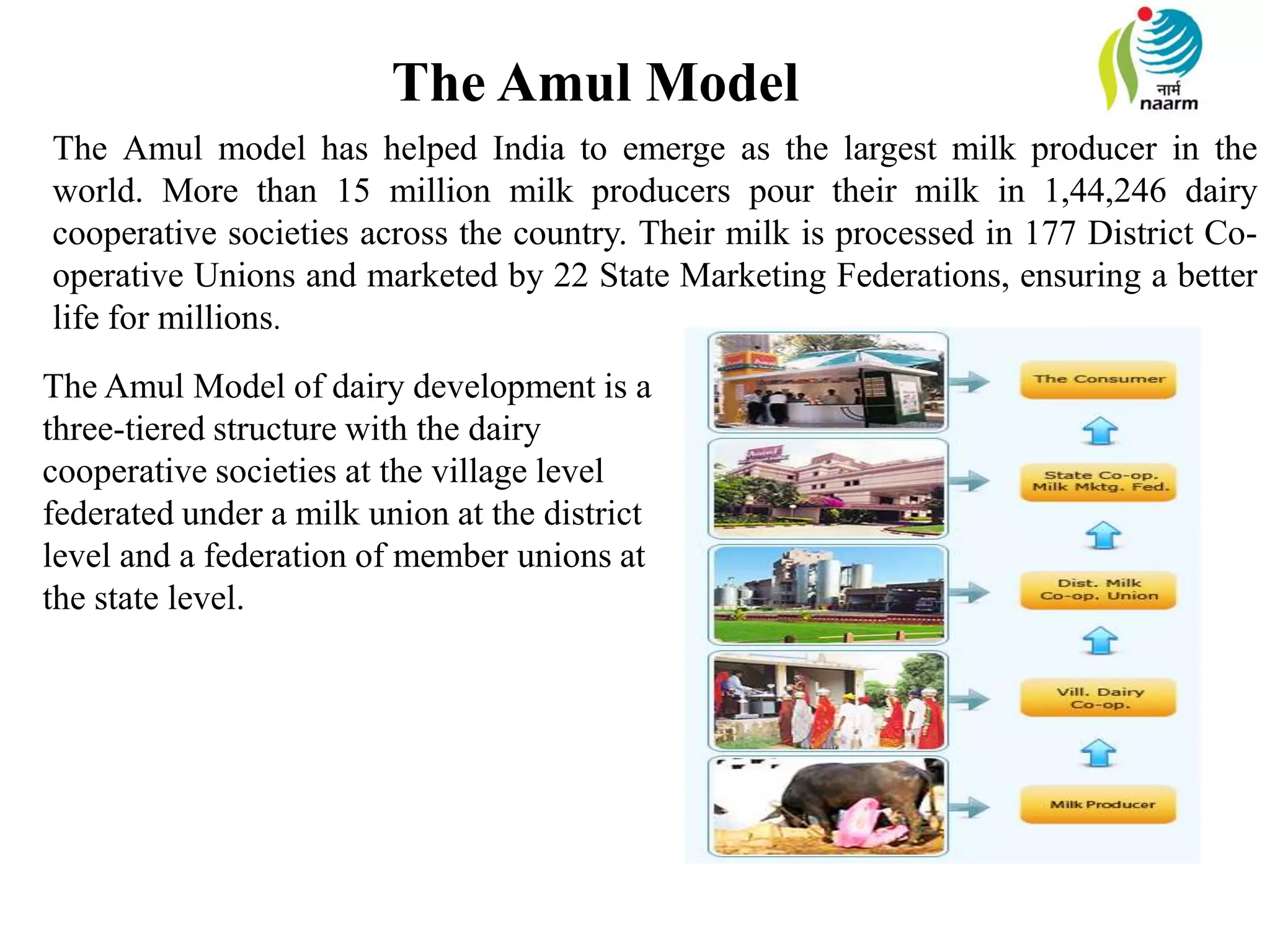 The Amul Model
The Amul Model of dairy development is a
three-tiered structure with the dairy
cooperative societies at the village level
federated under a milk union at the district
level and a federation of member unions at
the state level.
The Amul model has helped India to emerge as the largest milk producer in the
world. More than 15 million milk producers pour their milk in 1,44,246 dairy
cooperative societies across the country. Their milk is processed in 177 District Co-
operative Unions and marketed by 22 State Marketing Federations, ensuring a better
life for millions.
 