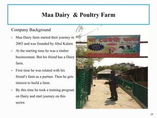 Dairy production of different organizations of bangladesh   at a glance