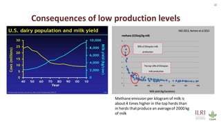 12
Consequences of low production levels
Methane emission per kilogram of milk is
about 4 times higher in the top herds than
in herds thatproduce an averageof 2000kg
of milk
 