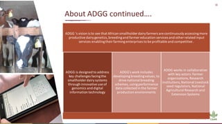 16
About ADGG continued….
ADGG ‘s vision is to see that African smallholder dairyfarmers are continuouslyaccessingmore
productive dairygenetics,breedingand farmer education services and other related input
services enablingtheirfarmingenterprises to be profitable and competitive.
ADGG is designed to address
key challenges facingthe
smallholder dairy systems
through innovativeuse of
genomics and digital
information technology
ADGG’s work includes
developingbreedingvalues,to
drivenational breeding
schemes, usingperformance
data collected in the farmer
production environments
ADDG works in collaboration
with key actors: Farmer
organizations,Research
institutions,National Livestock
seed regulators, National
Agricultural Research and
Extension Systems
 
