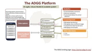 •Farmingsystems characteristics
•Characteristics of dairy animals on
farms
•Monitor animal performance
•Monitor use of technologies (eg
Artificial Insemination,vaccination)
•Service providers
Data capture
Country Data platforms
Data Extraction
API Management
System Administration
Data Validation
DATA PLATFORM
Data Feedback
systems
•Customizeddata summaries
•Genomic evaluation
•Customizedindexes foranimal
selection
Analytics
•Managing reproduction
•Managing calves at different stages
•Usinglivestock data fordecisions
•Managing animal health
E-Learningtools
• i-Cow
• Interherd+
Other data bases
The ADGG Platform
The ADGG landing page: https://portal.adgg.ilri.org/
An agile, robust, flexible & scalable system
 