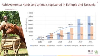 20
Achievements: Herds and animals registered in Ethiopia and Tanzania
1863
23321
53417
69101 70750 71942
6458
19898
27296
33324 33502 33693
0
20000
40000
60000
80000
100000
120000
140000
2016 2017 2018 2019 2020 2021
Number
of
records
Animals Ethiopia Animals Tanzania Herds Ethiopia Herds Tanzania
 