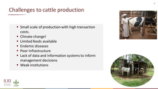 4
Challenges to cattle production
▪ Small scale of production with high transaction
costs.
▪ Climate change!
▪ Limited feeds available
▪ Endemic diseases
▪ Poor Infrastructure
▪ Lack of data and information systems to inform
management decisions
▪ Weak institutions
 