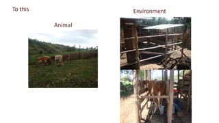 Animal
Environment
To this
 