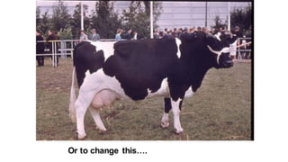 Or to change this….
 