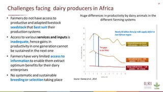 Opportunities for improving dairy production in Burundi: Experience from the ILRI ADGG program