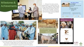 Opportunities for improving dairy production in Burundi: Experience from the ILRI ADGG program