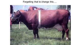 Opportunities for improving dairy production in Burundi: Experience from the ILRI ADGG program