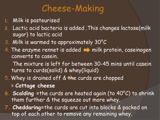 Cheese-Making
1. Milk is pasteurised
2. Lactic acid bacteria is added .This changes lactose(milk
sugar) to lactic acid
3. Milk is warmed to approximately 30°C
4. The enzyme rennet is added milk protein, caseinogen
converts to casein.
The mixture is left for between 30-45 mins until casein
turns to curds(solid) & whey(liquid)
5. Whey is drained off & the curds are chopped
= Cottage cheese
6. Scalding =the curds are heated again (to 40°C) to shrink
them further & the squeeze out more whey.
7. Cheddaring=the curds are cut into blocks & packed on
top of each other to remove any remaining whey.
 