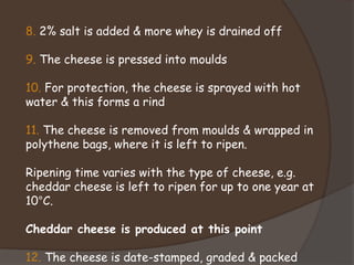8. 2% salt is added & more whey is drained off
9. The cheese is pressed into moulds
10. For protection, the cheese is sprayed with hot
water & this forms a rind
11. The cheese is removed from moulds & wrapped in
polythene bags, where it is left to ripen.
Ripening time varies with the type of cheese, e.g.
cheddar cheese is left to ripen for up to one year at
10°C.
Cheddar cheese is produced at this point
12. The cheese is date-stamped, graded & packed
 