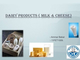DAIRY PRODUCTS ( MILK & CHEESE)
- Ammar Babar
- 11FET1009.
 