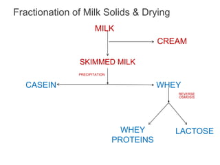 Fractionation of Milk Solids & Drying
WHEY
CASEIN
MILK
SKIMMED MILK
CREAM
PRECIPITATION
WHEY
CASEIN
REVERSE
OSMOSIS
WHEY
PROTEINS
LACTOSE
 