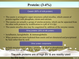 Protein: (3-4%)Protein: (3-4%)
The milk proteins are of high BV & are readily used
by the body
 