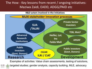 Regional markets outlook and lessons for the dairy sector in Tanzania 