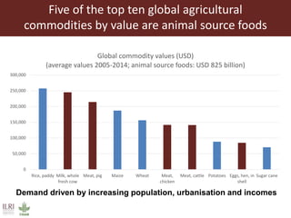 Regional markets outlook and lessons for the dairy sector in Tanzania 
