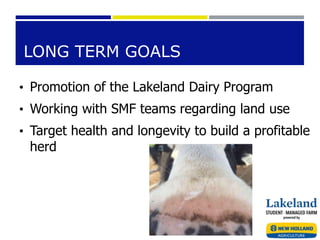 LONG TERM GOALS
• Promotion of the Lakeland Dairy Program
• Working with SMF teams regarding land use
• Target health and longevity to build a profitable
herd
 