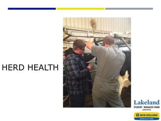 HERD HEALTH
 