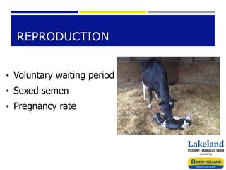REPRODUCTION
• Voluntary waiting period
• Sexed semen
• Pregnancy rate
 