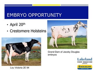 EMBRYO OPPORTUNITY
• April 20th
• Crestomere Holsteins
Lou Victoria 2E 94
Grand Dam of Jacoby Douglas
embryos
 