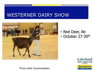 WESTERNER DAIRY SHOW
Photo credit: Cowsmopolitain
• Red Deer, Ab
• October 27-30th
 
