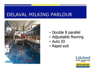 DELAVAL MILKING PARLOUR
• Double 8 parallel
• Adjustable flooring
• Auto ID
• Rapid exit
 
