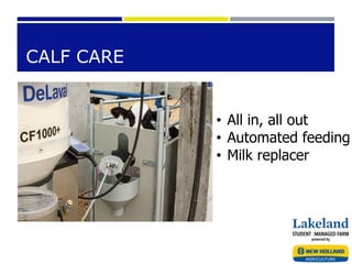 CALF CARE
• All in, all out
• Automated feeding
• Milk replacer
 