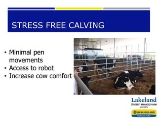 STRESS FREE CALVING
• Minimal pen
movements
• Access to robot
• Increase cow comfort
 