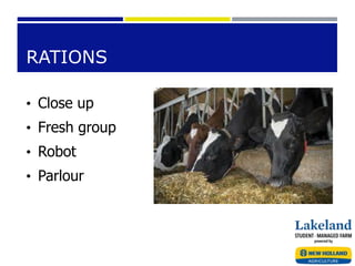 RATIONS
• Close up
• Fresh group
• Robot
• Parlour
 