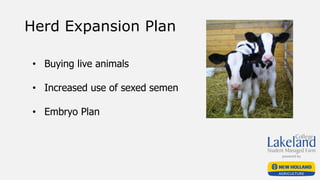 Herd Expansion Plan
• Buying live animals
• Increased use of sexed semen
• Embryo Plan
 