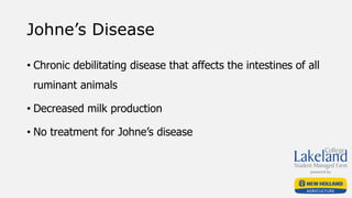 Johne’s Disease
• Chronic debilitating disease that affects the intestines of all
ruminant animals
• Decreased milk production
• No treatment for Johne’s disease
 