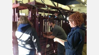 SMF Dairy Final Presentation March 2016