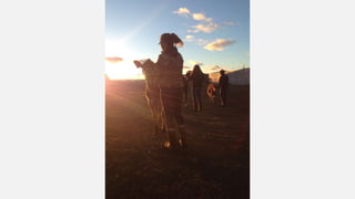 SMF Dairy Final Presentation March 2016