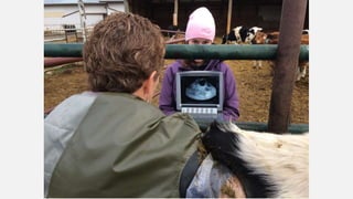 SMF Dairy Final Presentation March 2016