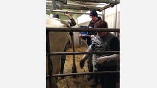 SMF Dairy Final Presentation March 2016