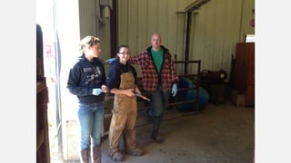 SMF Dairy Final Presentation March 2016