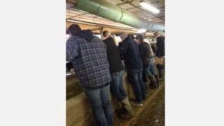 SMF Dairy Final Presentation March 2016