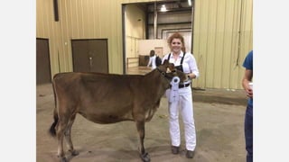 SMF Dairy Final Presentation March 2016