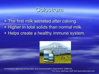 Colostrum The first milk secreted after calving.  Higher in total solids than normal milk. Helps create a healthy immune system.  Compilation: Agricultural Education and Communication Department, California  For more veterinary stuff visit www.techyvety.com 