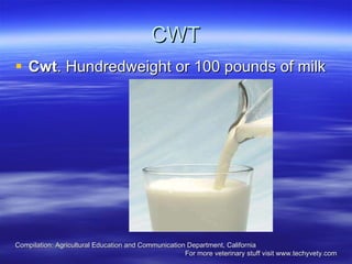 CWT Cwt . Hundredweight or 100 pounds of milk   Compilation: Agricultural Education and Communication Department, California  For more veterinary stuff visit www.techyvety.com 