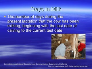 Days in Milk The number of days during the present lactation that the cow has been milking, beginning with the last date of calving to the current test date  Compilation: Agricultural Education and Communication Department, California  For more veterinary stuff visit www.techyvety.com 